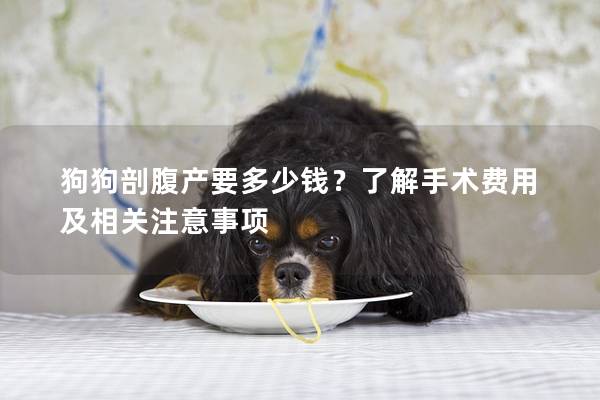 狗狗剖腹產要多少錢？了解手術費用及相關注意事項