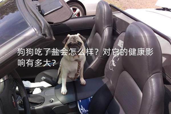 狗狗吃了鹽會怎么樣？對它的健康影響有多大？