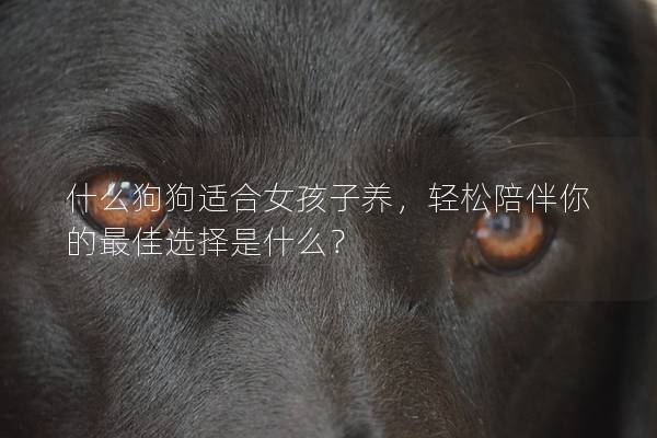 什么狗狗適合女孩子養，輕松陪伴你的最佳選擇是什么？