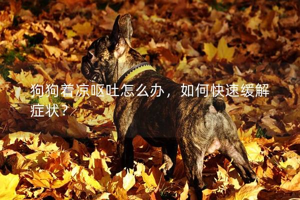狗狗著涼嘔吐怎么辦，如何快速緩解癥狀？