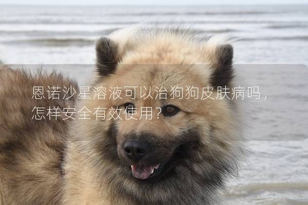 恩諾沙星溶液可以治狗狗皮膚病嗎,怎樣安全有效使用? 恩諾沙星溶液可以治狗狗皮膚病嗎,怎樣安全有效使用?