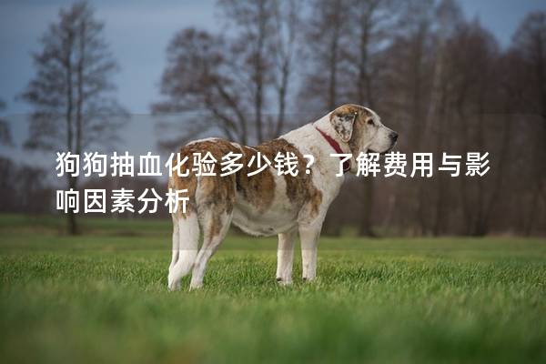 狗狗抽血化驗多少錢？了解費用與影響因素分析