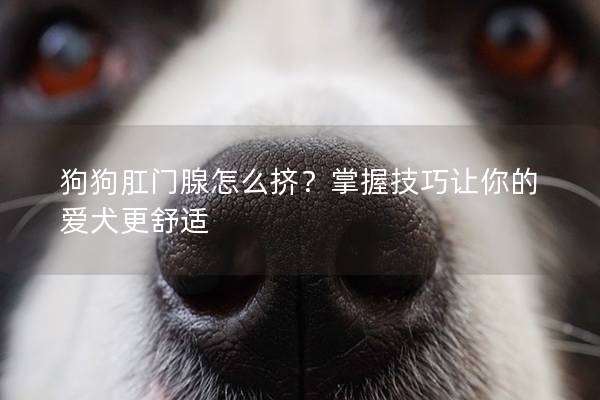 狗狗肛門腺怎么擠？掌握技巧讓你的愛犬更舒適