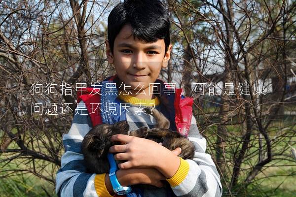 狗狗指甲發(fā)黑怎么回事，可能是健康問題還是環(huán)境因素？