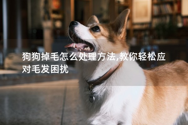 狗狗掉毛怎么處理方法,教你輕松應(yīng)對毛發(fā)困擾 狗狗掉毛怎么處理方法,教你輕松應(yīng)對毛發(fā)困擾