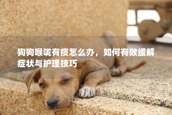 狗狗喉嚨有痰怎么辦，如何有效緩解癥狀與護(hù)理技巧