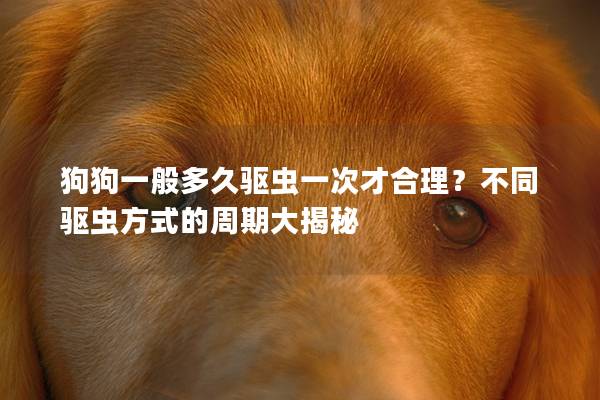 狗狗一般多久驅蟲一次才合理？不同驅蟲方式的周期大揭秘