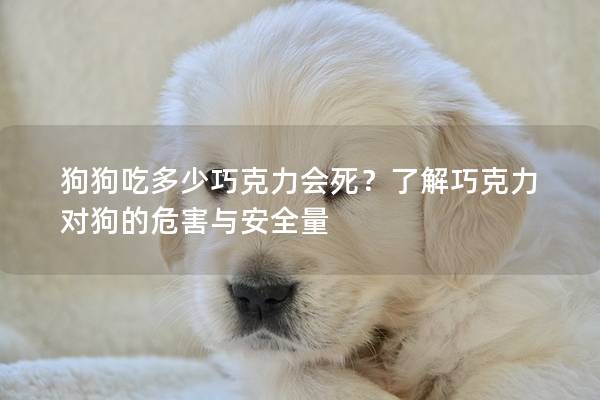 狗狗吃多少巧克力會死？了解巧克力對狗的危害與安全量