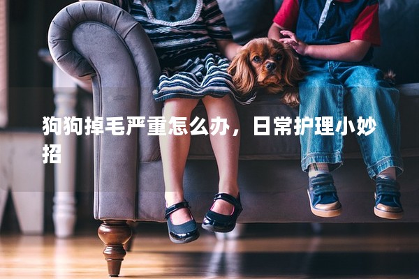 狗狗掉毛嚴重怎么辦,日常護理小妙招 狗狗掉毛嚴重怎么辦,日常護理小妙招