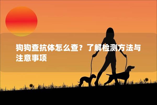 狗狗查抗體怎么查？了解檢測方法與注意事項