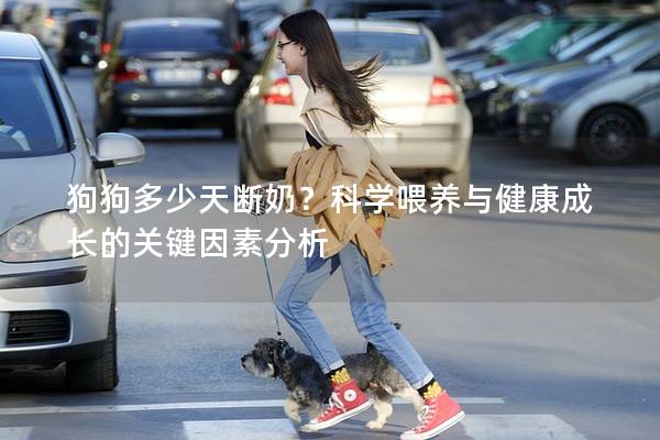 狗狗多少天斷奶？科學(xué)喂養(yǎng)與健康成長(zhǎng)的關(guān)鍵因素分析