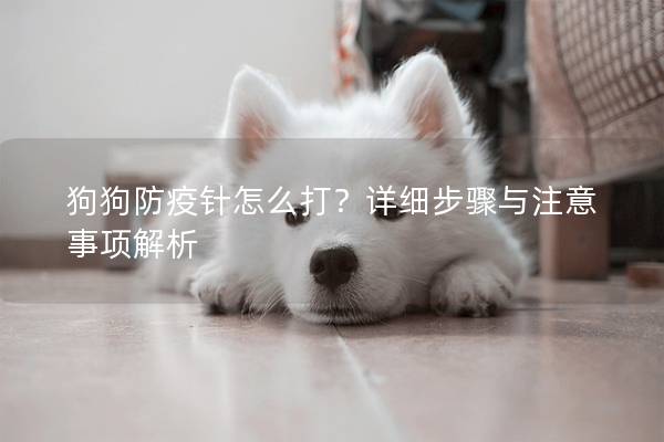 狗狗防疫針怎么打？詳細(xì)步驟與注意事項(xiàng)解析