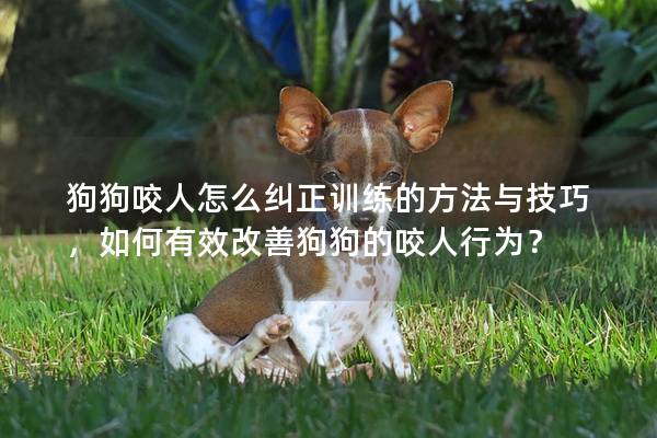 狗狗咬人怎么糾正訓(xùn)練的方法與技巧,如何有效改善狗狗的咬人行為? 狗狗咬人怎么糾正訓(xùn)練的方法與技巧,如何有效改善狗狗的咬人行為?