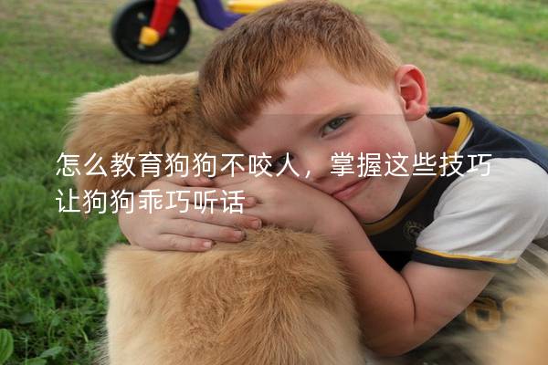 怎么教育狗狗不咬人，掌握這些技巧讓狗狗乖巧聽話