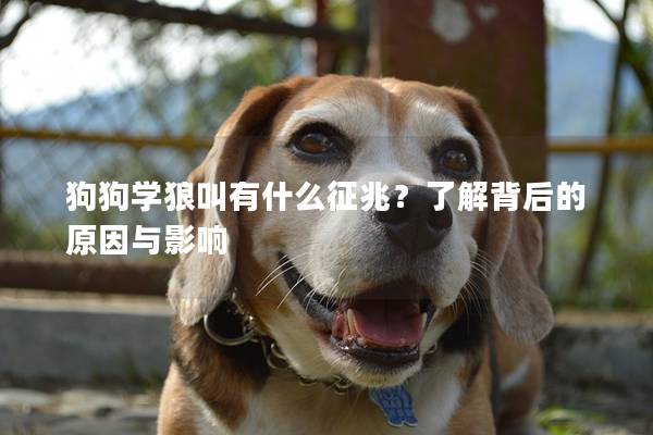 狗狗學狼叫有什么征兆？了解背后的原因與影響