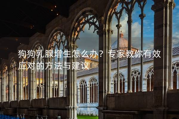 狗狗乳腺增生怎么辦？專家教你有效應對的方法與建議