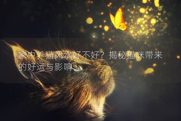 家中養(yǎng)貓風(fēng)水好不好？揭秘貓咪帶來的好運與影響