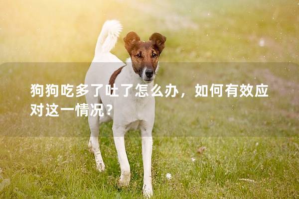 狗狗吃多了吐了怎么辦，如何有效應對這一情況？