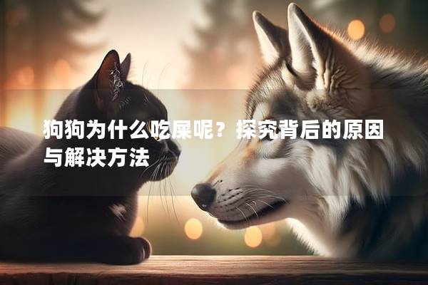 狗狗為什么吃屎呢?探究背后的原因與解決方法 狗狗為什么吃屎呢?探究背后的原因與解決方法