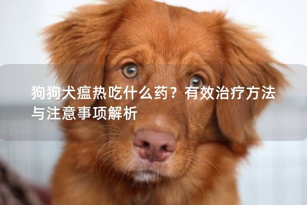 狗狗犬瘟熱吃什么藥？有效治療方法與注意事項解析