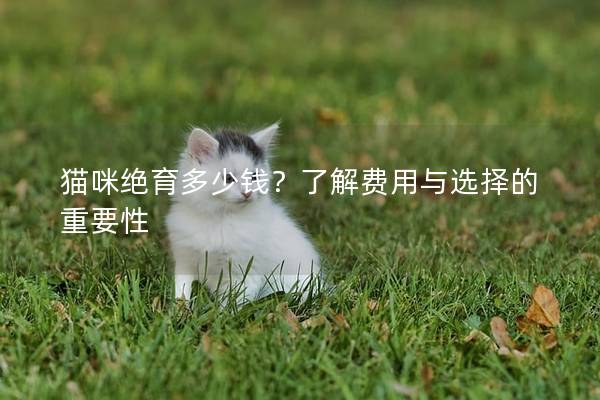 貓咪絕育多少錢？了解費用與選擇的重要性