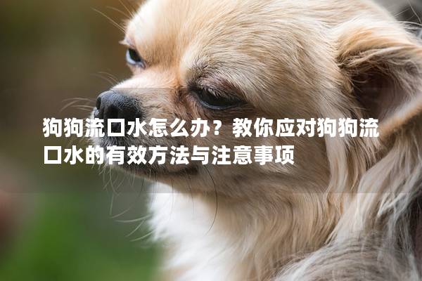狗狗流口水怎么辦？教你應對狗狗流口水的有效方法與注意事項