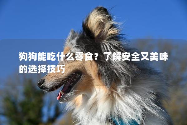 狗狗能吃什么零食？了解安全又美味的選擇技巧