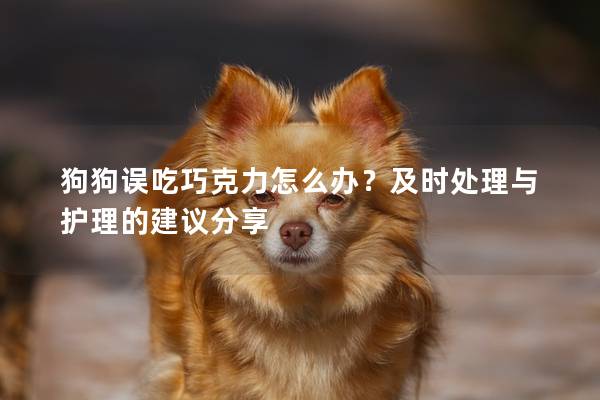 狗狗誤吃巧克力怎么辦?及時處理與護理的建議分享 狗狗誤吃巧克力怎么辦?及時處理與護理的建議分享