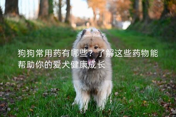 狗狗常用藥有哪些？了解這些藥物能幫助你的愛犬健康成長