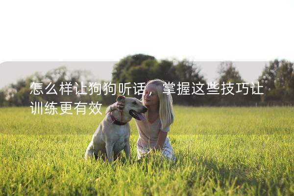 怎么樣讓狗狗聽話，掌握這些技巧讓訓練更有效