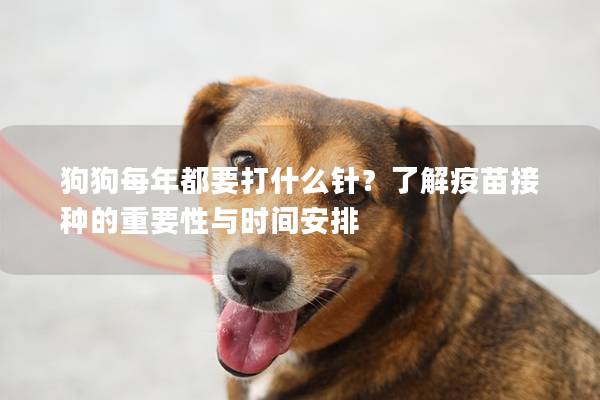 狗狗每年都要打什么針？了解疫苗接種的重要性與時間安排