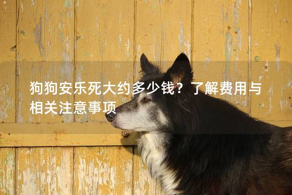 狗狗安樂(lè)死大約多少錢(qián)？了解費(fèi)用與相關(guān)注意事項(xiàng)