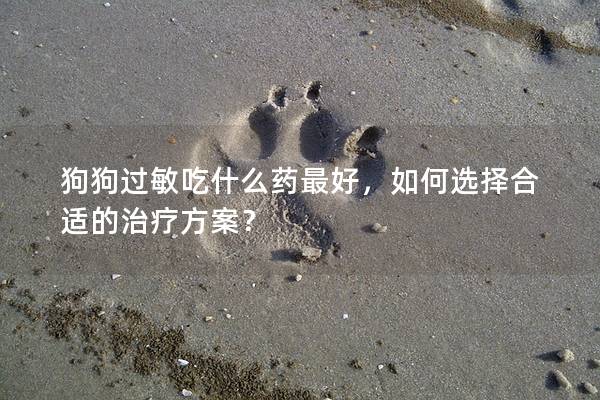 狗狗過敏吃什么藥最好，如何選擇合適的治療方案？