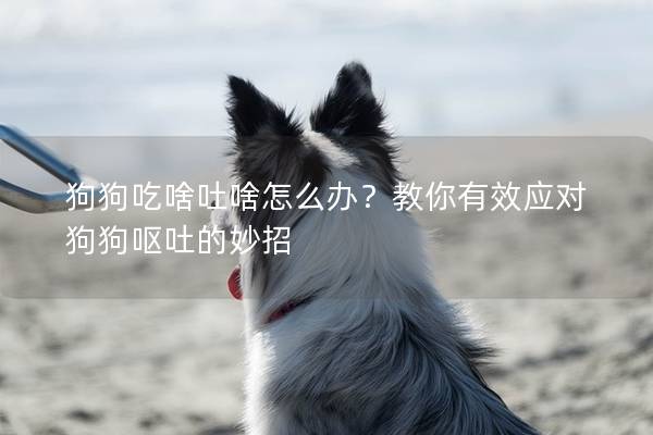 狗狗吃啥吐啥怎么辦？教你有效應對狗狗嘔吐的妙招