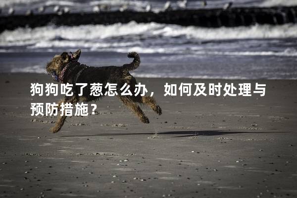 狗狗吃了蔥怎么辦，如何及時處理與預(yù)防措施？