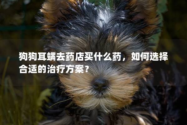 狗狗耳螨去藥店買什么藥,如何選擇合適的治療方案? 狗狗耳螨去藥店買什么藥,如何選擇合適的治療方案?
