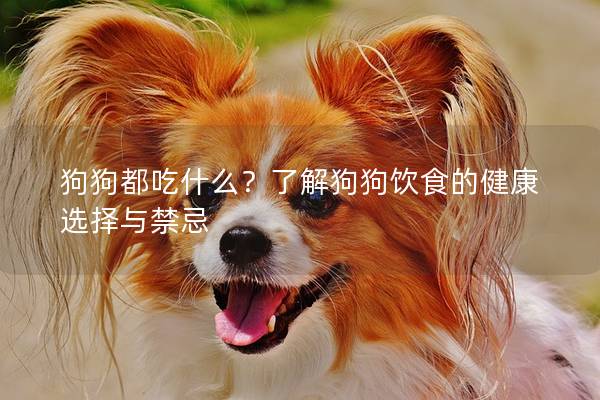 狗狗都吃什么？了解狗狗飲食的健康選擇與禁忌