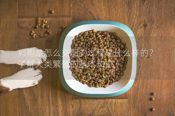 狗狗是怎么交配的過程是什么樣的？了解犬類繁殖的基本知識