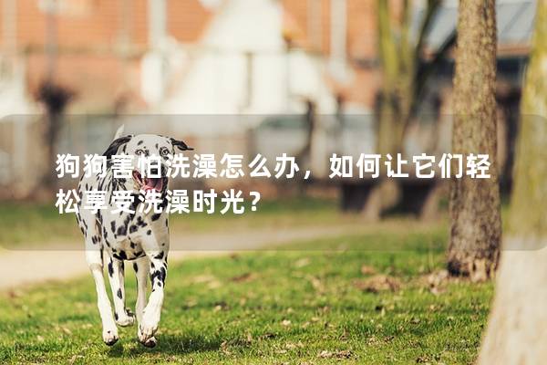狗狗害怕洗澡怎么辦,如何讓它們輕松享受洗澡時光? 狗狗害怕洗澡怎么辦,如何讓它們輕松享受洗澡時光?