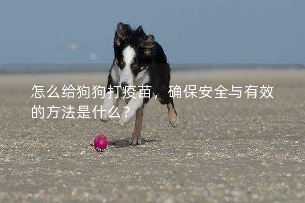 怎么給狗狗打疫苗,確保安全與有效的方法是什么? 怎么給狗狗打疫苗,確保安全與有效的方法是什么?