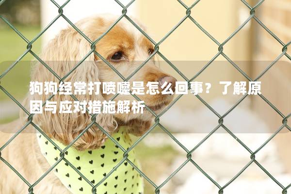 狗狗經常打噴嚏是怎么回事?了解原因與應對措施解析