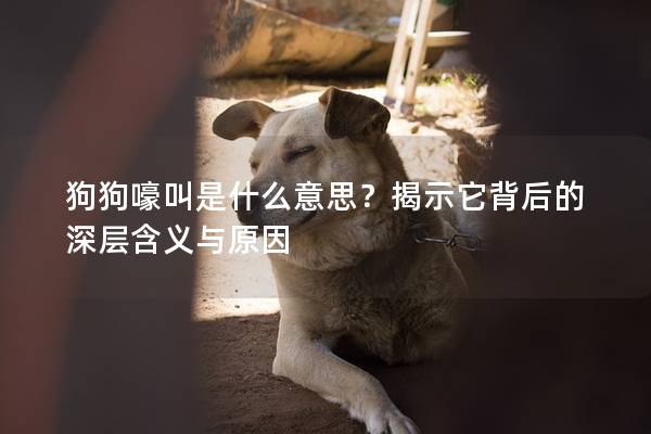 狗狗嚎叫是什么意思？揭示它背后的深層含義與原因