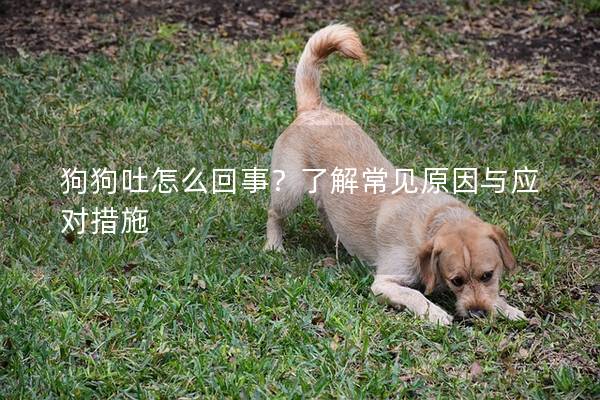 狗狗吐怎么回事？了解常見原因與應對措施