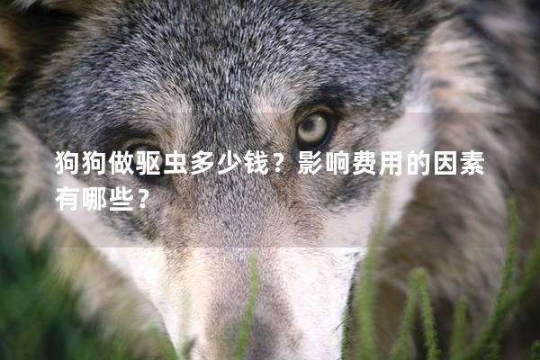 狗狗做驅蟲多少錢？影響費用的因素有哪些？