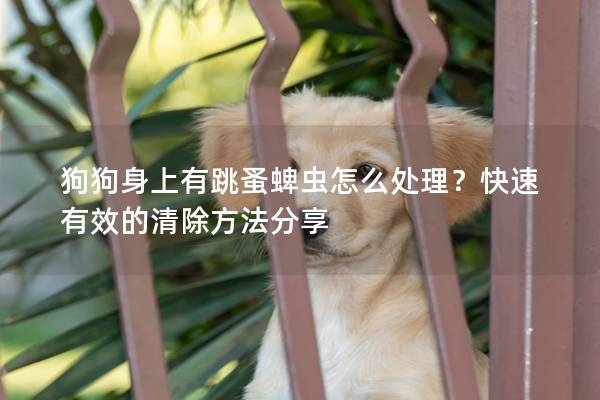 狗狗身上有跳蚤蜱蟲怎么處理？快速有效的清除方法分享