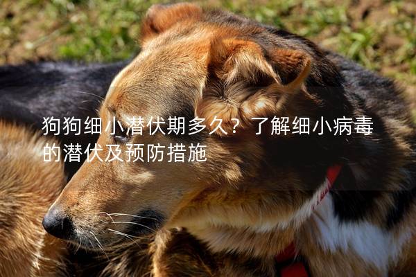 狗狗細小潛伏期多久？了解細小病毒的潛伏及預防措施