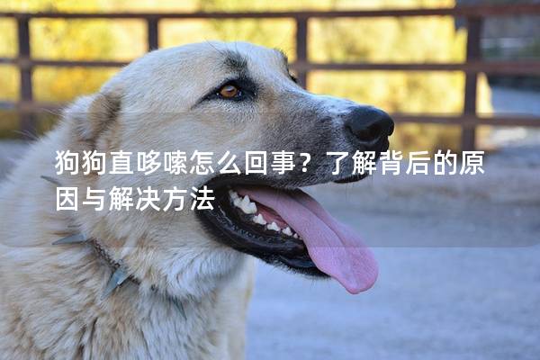 狗狗直哆嗦怎么回事？了解背后的原因與解決方法