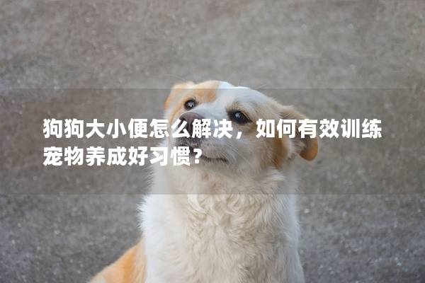 狗狗大小便怎么解決，如何有效訓練寵物養成好習慣？