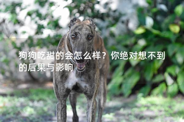 狗狗吃甜的會怎么樣？你絕對想不到的后果與影響
