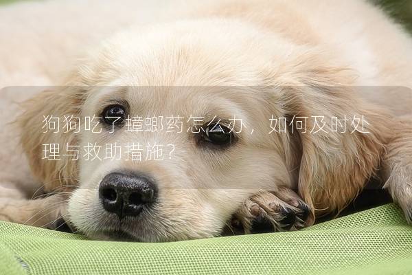 狗狗吃了蟑螂藥怎么辦，如何及時處理與救助措施？